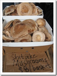 shiitake