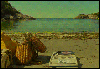 Digital Art Cat GIF • Cinemagraph • Still cat on the beach in his wicker basket [ok-cats.com]