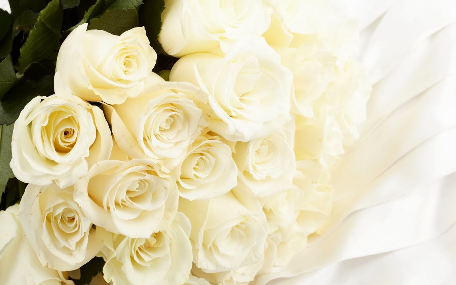 White+Rose+Bouquet+Wallpapers+(5)