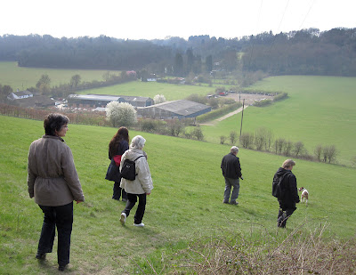 The group walking down into Cudham Valley past Bottom Barn Farm