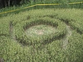 Foto Crop Circle Magelang