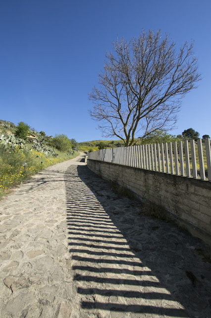 Area archeologica di Occhiolà