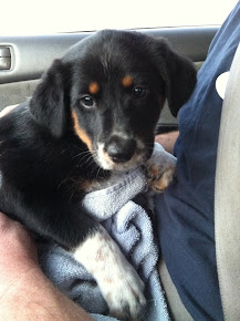 Sadie