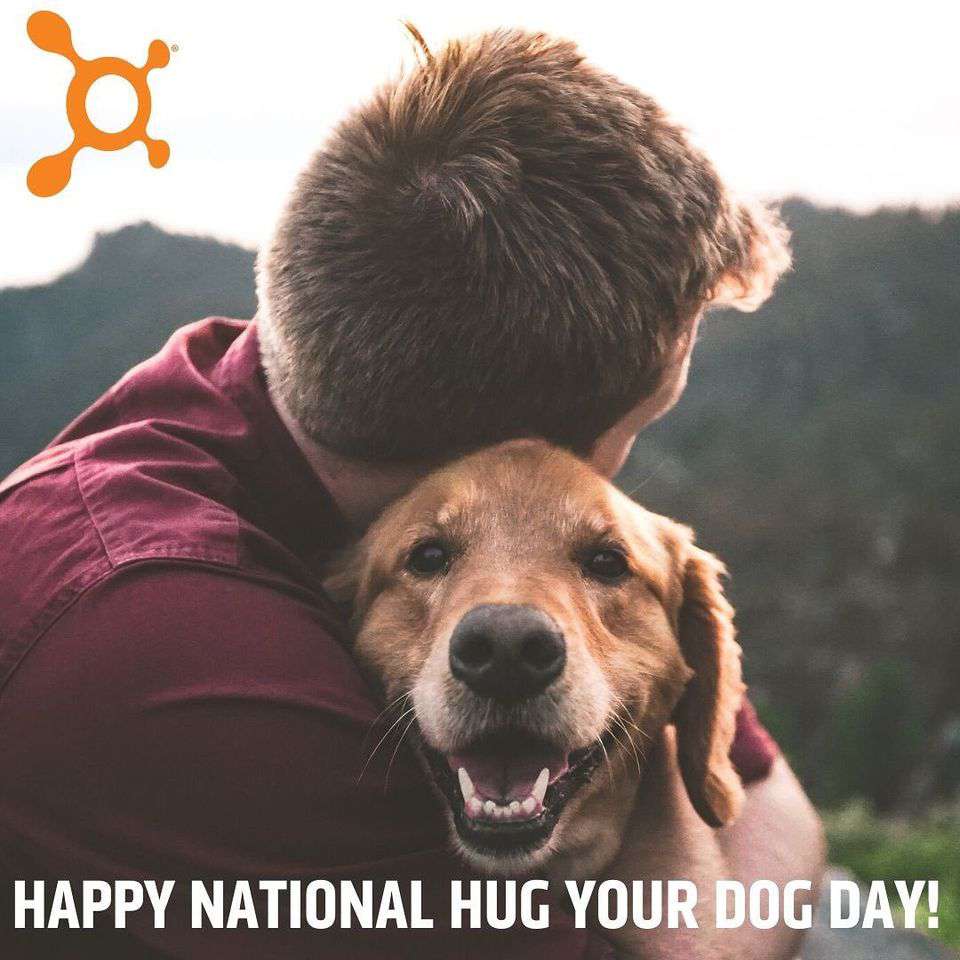 National Hug Your Dog Day Wishes