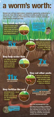 Why Earthworms are Worth Keeping Around_smal