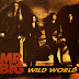 Chord Gitar Mr. Big - Wild World