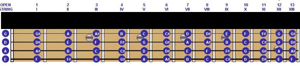 Belajar Kunci Gitar Bass Dasar Khusus Pemula Belajar 