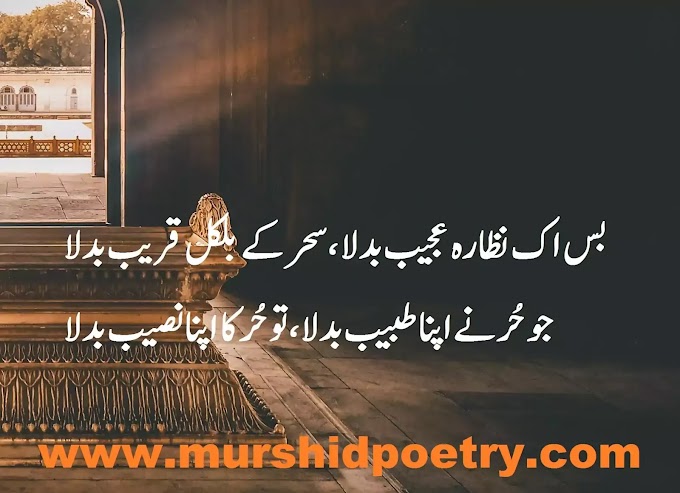 muharram poetry || karbala poetry || Imam hussain poetry