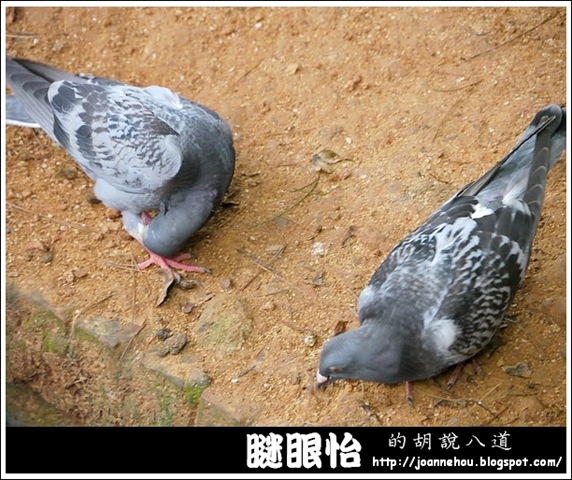 新竹市立動物園45