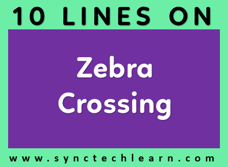 short essay on Zebra Crossing