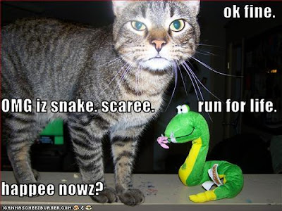 kids, Funny