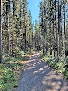Trails Peter Lougheed Provincial Park Alberta.