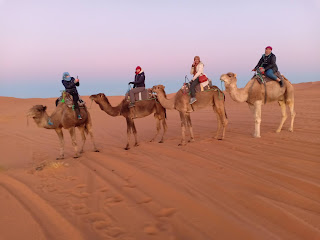 Merzouga Desert Camp Camel Ride