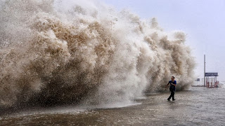 25 dead as Typhoon Usagi hits southern China
