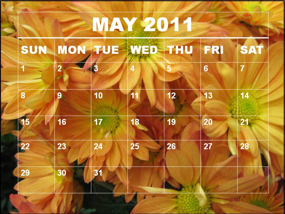 2011 calendar template with holidays. Holiday calendar for May 2011.
