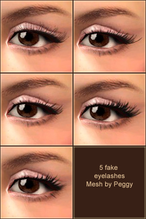 3d Lashes6