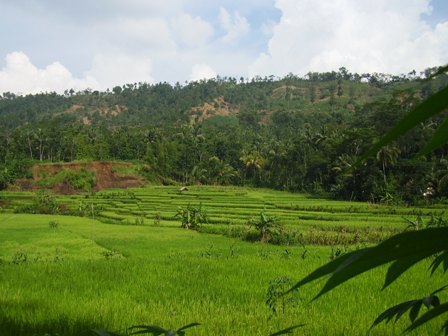 Foto Pemandangan Indah di Seluruh Dunia