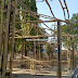 Bamboo in construction 