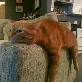 Funny cats - part 94 (40 pics + 10 gifs), cat pictures, cat lays on couch