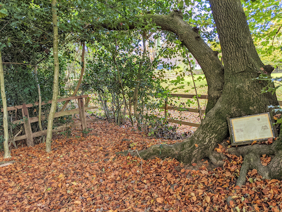 Turn left at the fence then head NE for 130m until you meet Shire Lane