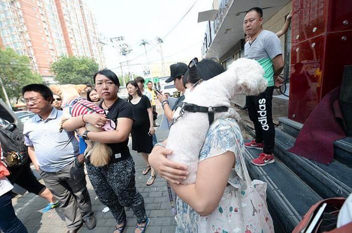 China Has Finally Banned Dog Meat From The Infamous Yulin Festival