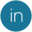 icon linkedin 2