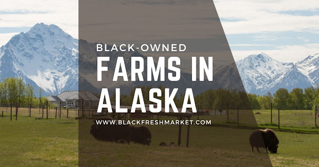 Black Owned Farms In Alaska