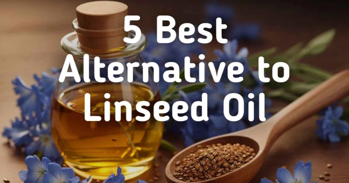 5-Best-Alternative-to-Linseed-Oil-for-Cricket-Bats