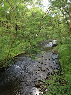  River Ogwr by Gethin Jenkins-Jones