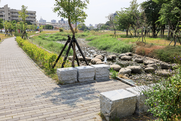 台中大里鳥竹圍公園旱溪河濱步道輕鬆散步，欣賞野鳥生態水岸美景