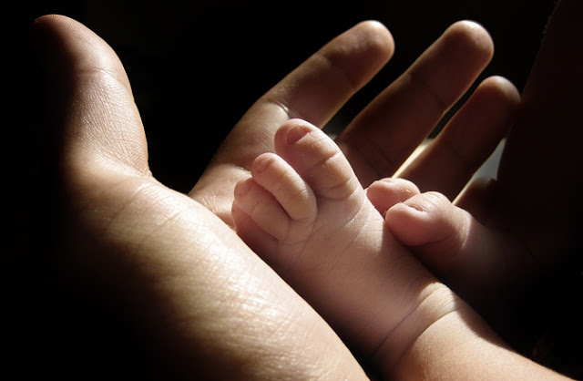 Image: Nexus: Baby foot in hand, by Miguel Ugalde on FreeImage