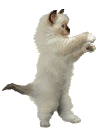 cat150