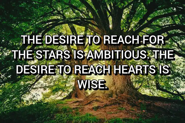 The desire to reach for the stars is ambitious. The desire to reach hearts is wise. Maya Angelou