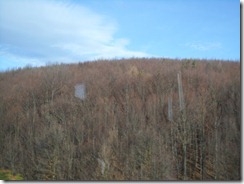 SAM_0061