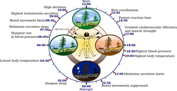 Regulation of human body temperature- Shubham Singh (Universe)