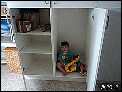 in the cabinet 6