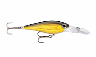 Plug jenis minnow dan crankbait