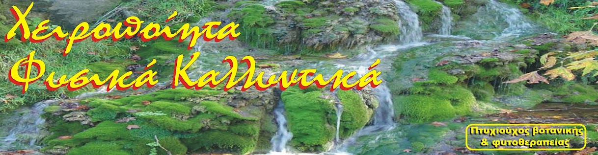 Χειροποίητα φυσικά καλλυντικά, προιόντα περιποίησης