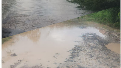 Jalan Penghubung Desa Pangkalan Tungkal Ke Desa Simpang Tungkal Terputus Karena Curah Hujan Yang Lebat.