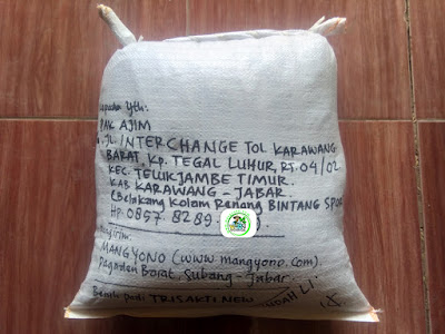 Benih padi yang dibeli     AJIM Karawang, Jabar.  (Setelah packing karung ). 