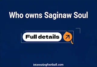 Who owns the Saginaw Soul? Owner's net worth, source of wealth and ownership history