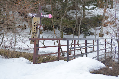 西天狗岳登山口