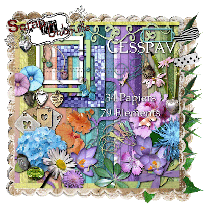 http://cesspav-les-scraps-de-cecile.blogspot.com/2009/07/les-soldes-sur-la-boutique-scrap-et.html