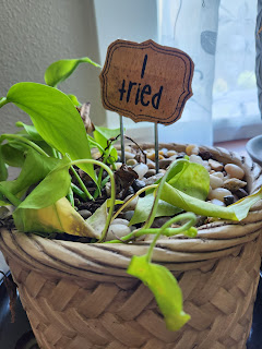 wilted pathos in tan clay pot with a weaved basket design. There is a plant stake made of beige leather that says I tried