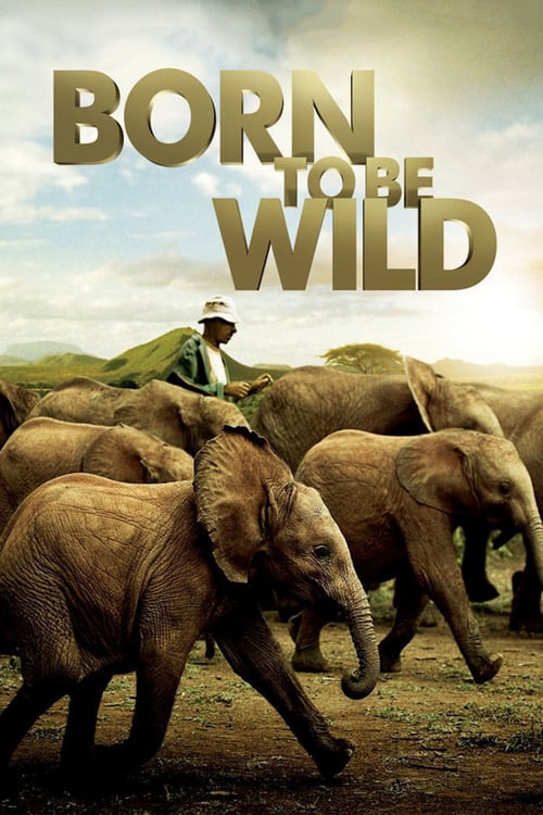 Watch Born to Be Wild 2011 Full Movie With English Subtitles