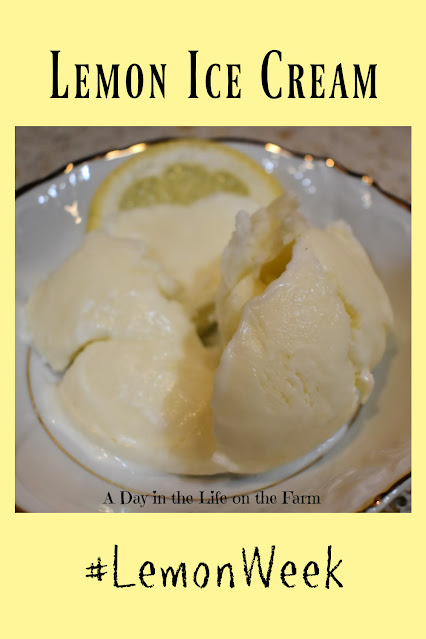 Lemon Ice Cream Pin