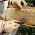 مرحلة انتاج العسل 