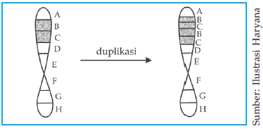 Mutasi Kromosom Kang Biology