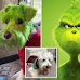 Woman Accused of Animal Abuse After Grooming Her Dog to Be The Grinch