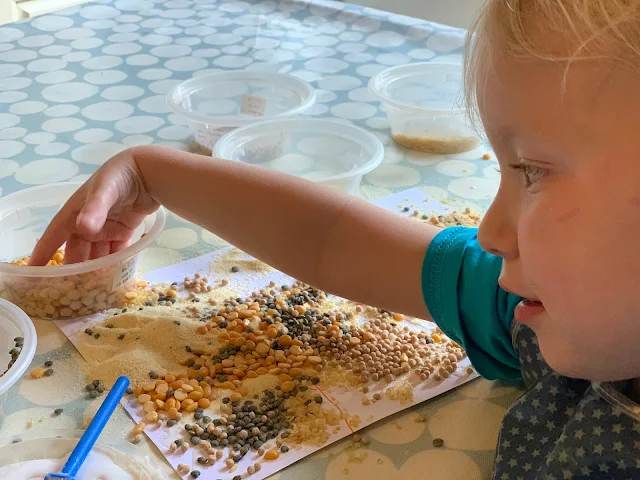 Toddler taking handfuls of split peas to stick on the card